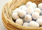 Dioxin Gift Eier Gift im Frühstücks-Ei: Eier mit Dioxin belastet