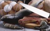 Gammelfleisch Sensorfolie Lebensmittel neue Sensorfolie zeigt verdorbenes Fleisch (Gammelfleisch) an