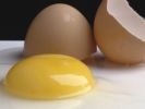 Salmonelleninfektion Salmonelleninfektion: Gefahr durch Antibiotikaresistenz (Salmonella Kentucky)