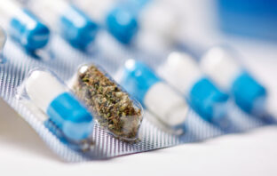Cannabis in der Medizin: Perspektiven, Chancen und Herausforderungen